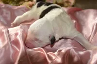 processed/732a1749-41a6-49cc-8075-9c52d658297e/listing/f0810ba5-3580-4960-833f-e502b9466097/2fff0c9f-27c3-464c-bb97-081b7d2a2d42