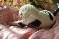 processed/732a1749-41a6-49cc-8075-9c52d658297e/listing/fa3ffe59-cbef-4859-9b38-fd77a4705e4d/23e33fce-a5fe-4958-a7db-29b014e7b83e