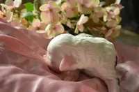 processed/732a1749-41a6-49cc-8075-9c52d658297e/listing/fa3ffe59-cbef-4859-9b38-fd77a4705e4d/e5442530-2665-47f8-8fcc-dea49bee6afc