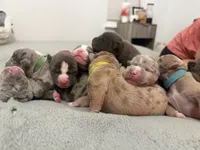 Facility photo