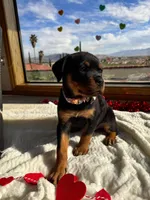 processed/733b0b57-28c2-47b0-973c-68d3d69eb456/listing/52da8a52-0dc6-490b-b45b-4d5544e2fd63/2aedf5aa-88d5-41a2-8b54-6f7925429e56