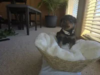 processed/733b0b57-28c2-47b0-973c-68d3d69eb456/listing/52da8a52-0dc6-490b-b45b-4d5544e2fd63/2cdfe339-d17c-47fb-843f-74c0672a81e4