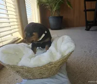 processed/733b0b57-28c2-47b0-973c-68d3d69eb456/listing/52da8a52-0dc6-490b-b45b-4d5544e2fd63/7cec3ff7-e759-4184-9f4f-5eac096aa33e