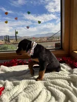 processed/733b0b57-28c2-47b0-973c-68d3d69eb456/listing/52da8a52-0dc6-490b-b45b-4d5544e2fd63/ecabe72d-1b47-4c77-9e72-15f19a5d1804