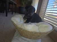 processed/733b0b57-28c2-47b0-973c-68d3d69eb456/listing/71d9834e-4109-4139-82dd-90e1a7810e83/0cac086b-4794-47e2-ade3-9522496b0667