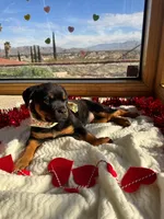 processed/733b0b57-28c2-47b0-973c-68d3d69eb456/listing/71d9834e-4109-4139-82dd-90e1a7810e83/1270f50f-c7c1-4610-98de-ac5931e1111a