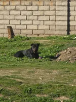 processed/733b0b57-28c2-47b0-973c-68d3d69eb456/listing/71d9834e-4109-4139-82dd-90e1a7810e83/3a65c624-4397-4292-afe7-0b3c5a668266