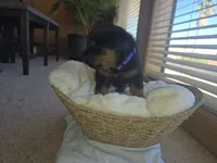 processed/733b0b57-28c2-47b0-973c-68d3d69eb456/listing/71d9834e-4109-4139-82dd-90e1a7810e83/c83e5958-a780-43f7-9e2d-83f76e58d240