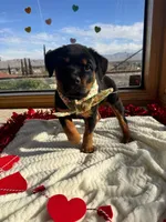 processed/733b0b57-28c2-47b0-973c-68d3d69eb456/listing/71d9834e-4109-4139-82dd-90e1a7810e83/f85daafb-546e-4fe3-aabf-33f883f9aceb