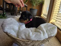 processed/733b0b57-28c2-47b0-973c-68d3d69eb456/listing/8213d7cc-7a42-418c-a359-af2c27603224/83600c12-6560-4ee8-ab34-a0e22f319730