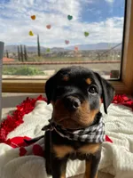 processed/733b0b57-28c2-47b0-973c-68d3d69eb456/listing/8213d7cc-7a42-418c-a359-af2c27603224/894e30b7-3fae-491f-8e27-fec325fd2a91