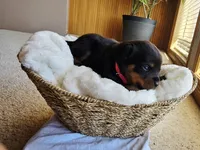 processed/733b0b57-28c2-47b0-973c-68d3d69eb456/listing/8213d7cc-7a42-418c-a359-af2c27603224/8ef24d68-edd9-4088-9707-1eb96616b151