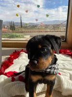 processed/733b0b57-28c2-47b0-973c-68d3d69eb456/listing/8213d7cc-7a42-418c-a359-af2c27603224/8fd6b397-80de-447f-8eb1-d2b24141dd1e