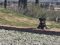 processed/733b0b57-28c2-47b0-973c-68d3d69eb456/listing/8213d7cc-7a42-418c-a359-af2c27603224/f8a413dc-fabc-4c4e-988d-57b97f4b959a