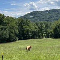 processed/734a897f-a6f2-479c-a9b3-77f215c1ebeb/facility/9e9c3bc4-c94d-425a-9e45-99bac39fdf3f