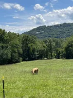 processed/734a897f-a6f2-479c-a9b3-77f215c1ebeb/facility/9e9c3bc4-c94d-425a-9e45-99bac39fdf3f