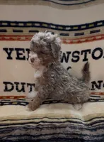 processed/734a897f-a6f2-479c-a9b3-77f215c1ebeb/listing/682897ff-9cf3-4bb0-a0ae-5cf71b73c5e1/d1e14612-e635-4de1-8880-c43b04625203