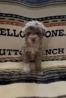 processed/734a897f-a6f2-479c-a9b3-77f215c1ebeb/listing/682897ff-9cf3-4bb0-a0ae-5cf71b73c5e1/f44f7dbe-0d00-4119-b4e0-f22603f91e3d