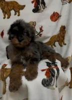 processed/734a897f-a6f2-479c-a9b3-77f215c1ebeb/listing/6fc376cf-314f-4584-8405-96f9b3033d8a/0efefc19-1539-4006-a6f1-ef57b0944eaa