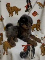 processed/734a897f-a6f2-479c-a9b3-77f215c1ebeb/listing/6fc376cf-314f-4584-8405-96f9b3033d8a/431ea747-4616-4120-8ad4-90e5f57fc5f2