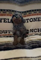 processed/734a897f-a6f2-479c-a9b3-77f215c1ebeb/listing/6fc376cf-314f-4584-8405-96f9b3033d8a/5a69e761-21f6-4e0f-aa60-6b5685b1d2ca