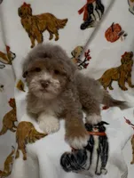 processed/734a897f-a6f2-479c-a9b3-77f215c1ebeb/listing/6fc376cf-314f-4584-8405-96f9b3033d8a/7dc5027a-fc73-4745-98e8-1d7d01eb1ee4