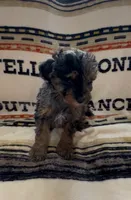 processed/734a897f-a6f2-479c-a9b3-77f215c1ebeb/listing/6fc376cf-314f-4584-8405-96f9b3033d8a/a690ff6c-63bb-4620-8c2b-6a73994916a6