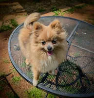 processed/735ad978-d186-420a-80dd-491e45ec4417/facility/1025fcf3-5f0d-45a7-9585-24ee07c71e96