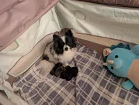 processed/735ad978-d186-420a-80dd-491e45ec4417/facility/14d54f0b-635a-464a-9943-f262f6373fff