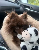 processed/735ad978-d186-420a-80dd-491e45ec4417/facility/856fc994-51a1-49cb-b7ed-69682a57dcb1