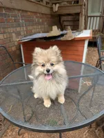 processed/735ad978-d186-420a-80dd-491e45ec4417/facility/b72e1577-ebab-48f8-8710-8cf3294fd881