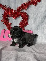 processed/7360615f-6e57-49d3-b7d2-6bb314f3fea7/listing/2b561682-ad7f-45bb-887e-2c5e9ab7b2dc/1191b355-84b7-4a37-a1e0-361966b8e64a