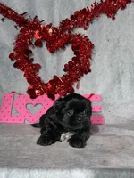 processed/7360615f-6e57-49d3-b7d2-6bb314f3fea7/listing/2b561682-ad7f-45bb-887e-2c5e9ab7b2dc/922e2bb5-7b9d-41fd-916a-065a31d2b590