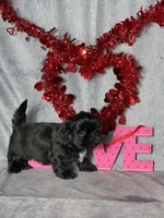 processed/7360615f-6e57-49d3-b7d2-6bb314f3fea7/listing/2b561682-ad7f-45bb-887e-2c5e9ab7b2dc/faac9988-a502-4159-bb76-a6444785f134