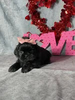 processed/7360615f-6e57-49d3-b7d2-6bb314f3fea7/listing/5ab6504b-4679-4ec7-88ba-c93a1293bba7/1dd32548-f463-4a8a-a15d-4b9065b5db4e