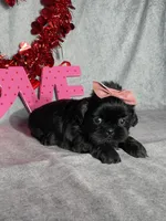 processed/7360615f-6e57-49d3-b7d2-6bb314f3fea7/listing/5ab6504b-4679-4ec7-88ba-c93a1293bba7/b9514fe5-ab9e-4cbe-b48f-428c1ee3efef