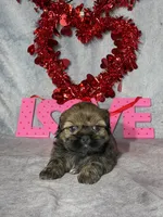 processed/7360615f-6e57-49d3-b7d2-6bb314f3fea7/listing/673cc21d-6fb9-4ad9-8679-dd8b1da85333/7691ed71-cad5-4b91-a23c-45007b7825fe