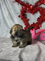 processed/7360615f-6e57-49d3-b7d2-6bb314f3fea7/listing/673cc21d-6fb9-4ad9-8679-dd8b1da85333/a627aa3b-5a9b-4538-8d08-2fd8de8d7860