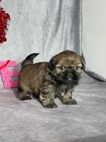 processed/7360615f-6e57-49d3-b7d2-6bb314f3fea7/listing/673cc21d-6fb9-4ad9-8679-dd8b1da85333/ca910388-4d96-4b74-b95f-45513bed8575