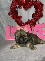 processed/7360615f-6e57-49d3-b7d2-6bb314f3fea7/listing/9dcc8bbc-ef92-4d65-ba84-138bc5af6565/252d55bf-cefe-42b0-b73a-000d121f3283