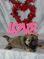 processed/7360615f-6e57-49d3-b7d2-6bb314f3fea7/listing/9dcc8bbc-ef92-4d65-ba84-138bc5af6565/31125b61-0e6c-4934-ac83-fe3062980de7