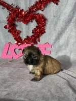 processed/7360615f-6e57-49d3-b7d2-6bb314f3fea7/listing/bedf6ad3-a306-46f8-894d-710aea1d7112/60a77a00-c249-4eb5-b582-63a44a722654