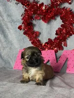 processed/7360615f-6e57-49d3-b7d2-6bb314f3fea7/listing/bedf6ad3-a306-46f8-894d-710aea1d7112/be356c91-9504-4636-bbd4-89a11494c04c