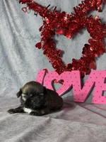 processed/7360615f-6e57-49d3-b7d2-6bb314f3fea7/listing/e6995568-a17c-4e7e-bd8a-3657267deeef/43c25038-b985-4d78-8e23-861eb3fd3cf4