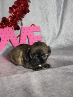 processed/7360615f-6e57-49d3-b7d2-6bb314f3fea7/listing/e6995568-a17c-4e7e-bd8a-3657267deeef/e66e1193-a35a-4519-8567-3e4d1ba157d1