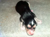 processed/7361545b-f1bd-45e3-8f21-d24db39f1e85/listing/0c402d0a-9835-458d-9642-8bfa1d5623a6/a81bb8f4-9856-48c8-a6a7-dbd9deabd8d1