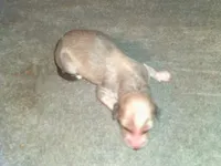 processed/7361545b-f1bd-45e3-8f21-d24db39f1e85/listing/297ff715-b288-402a-878e-e9cb6e5b489a/ed27dba3-f231-43a8-8eaa-eb833be7f9c9