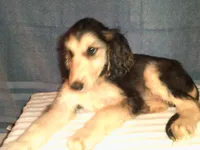 processed/7361545b-f1bd-45e3-8f21-d24db39f1e85/listing/38b335c1-6d64-4b0b-aecb-4b2b3d17bfaf/045c9cbb-7c6f-419b-b956-7d637e92f90e