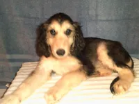 processed/7361545b-f1bd-45e3-8f21-d24db39f1e85/listing/38b335c1-6d64-4b0b-aecb-4b2b3d17bfaf/6b13e705-16b3-4b2d-baf9-a0a1e9366818