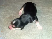 processed/7361545b-f1bd-45e3-8f21-d24db39f1e85/listing/38b335c1-6d64-4b0b-aecb-4b2b3d17bfaf/e803f5fd-f764-45aa-a548-4ff4e9273fe1